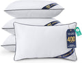 Utopia Bedding Throw Pillow Inserts, 12 x 20 Inches Decorative Indoor Pillows by UTOPIABEDDING