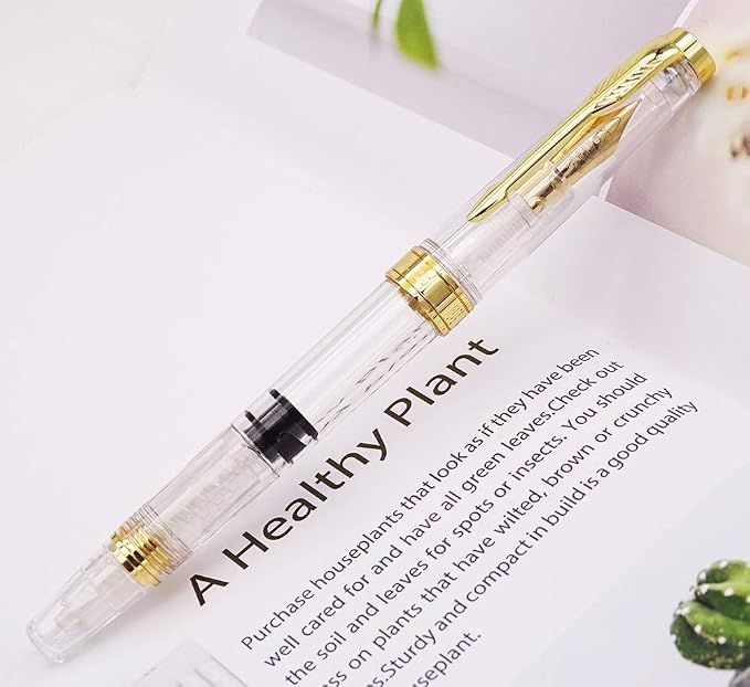 Lanxivi Yongsheng 3011 Demonstrator Clear Classical Fountain Pen Fine Nib Arrow - Image 6