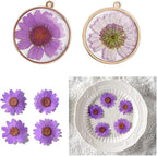 50pcs Natural Dried Daisy Flower, Vacuum Packaging, Pressed Flower - Image 3