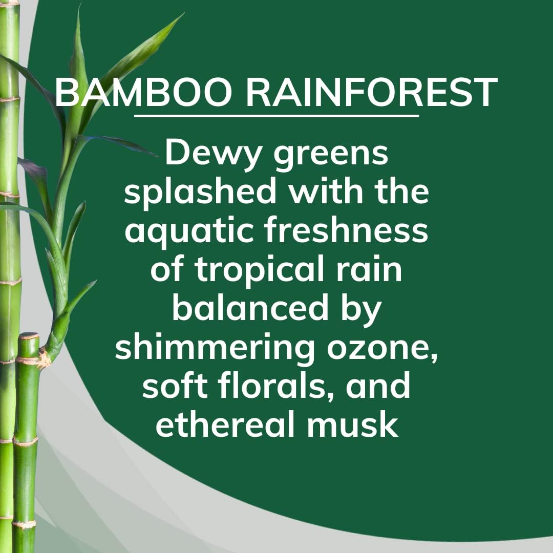 Citrus Magic Solid Air Freshener, Pack of 3, Bamboo Rainforest