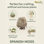 Mosser Lee Spanish Moss – Natural Decorative Moss - Image 5