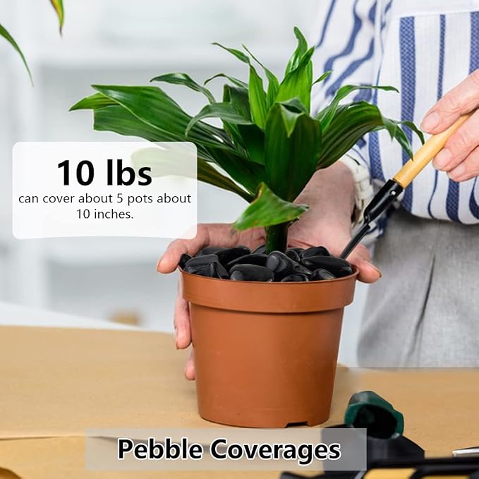 YISZM 5lbs Black Pebbles for Plants, 1-2 Inch High Polished Natural River Rocks - Image 3