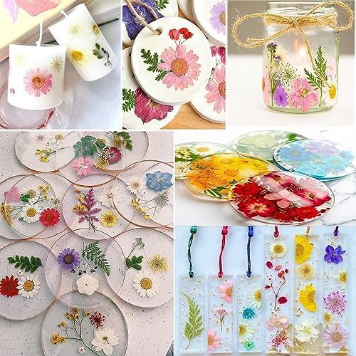 Rose Pressed Flowers for Crafts, TrendCart Real Natural Dry Pressed Flowers for - Image 5
