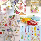 Bulk 410Pcs 11 Packs Mixed Real Natural Dried Pressed Flowers, Leaves & - Image 7
