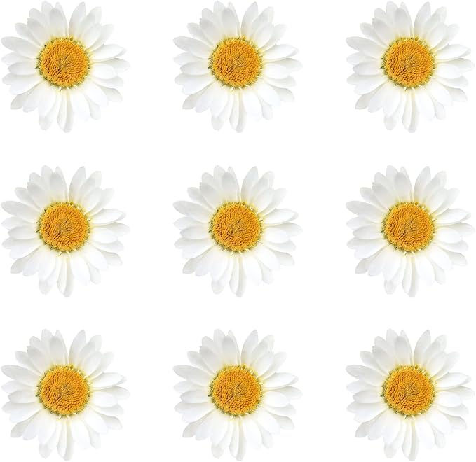 Nuanchu 120 Pcs Dried Pressed Flowers Daisies Pressed Dried Daisy Stickers - Image 2