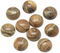 FASHEWELRY 50Pcs Natural Picture Jasper Cabochons Flat Back Gemstone Cabochons by FASHEWELRY