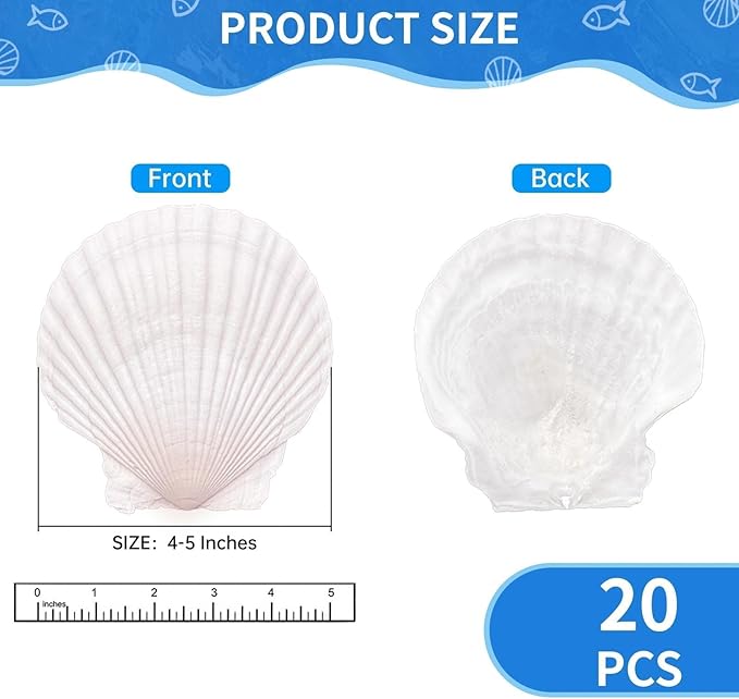 20PCS Large Scallop Shells for Crafts, 4-5 Inch Natural Sea Shells for - Image 2