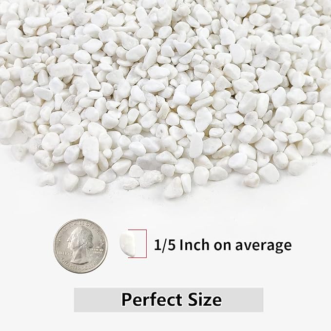 YISZM 5LB Succulent and Cactus Gravel Pebbles, 1/5 Inch White Natural - Image 2