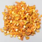 QICQDRAM Crushed Shells for Crafts About 1LB Small Natural Crushed Shells Bulk - Image 2