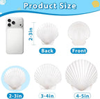20Pcs 2-3 Inch Scallop Shells for Crafts, Natural White Scallop Shells for - Image 5