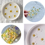 50pcs Natural Dried Daisy Flower, Vacuum Packaging, Pressed Flower - Image 3
