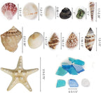 Natural Mixed Seashells Conch Starfish Sea Glass 1-2.8 Inch, 16.5 OZ | Bulk - Image 2