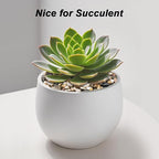 Succulent Rocks, Virekm River Rocks, Decorative Ornamental Pebbles Garden - Image 8