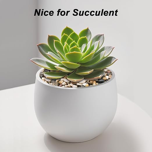 Succulent Rocks, Virekm River Rocks, Decorative Ornamental Pebbles Garden - Image 8