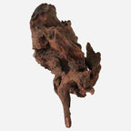 LYPHARD AQUARIUMS Natural Driftwood - Image 4