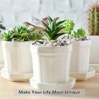 YISZM 10LB Succulent and Cactus Gravel Pebbles, 1/5 Inch Natural Decorative - Image 4