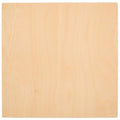 6 mm Baltic Birch Plywood 1/4 x 12 x 12 Inch, Box of 12 B/BB Grade Craft Wood by Woodpeckers