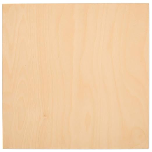 6 mm Baltic Birch Plywood 1/4 x 12 x 12 Inch, Box of 12 B/BB Grade Craft Wood by Woodpeckers