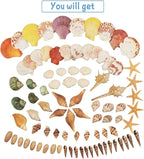 Seashells 13 Kinds of Shells 100 PCS Mixed Ocean Beach Colorful Seashells - Image 2