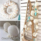 68 Pcs Small Natural Scallop Seashells 1-1.5 Inch Decorative Sea Shells | DIY - Image 7