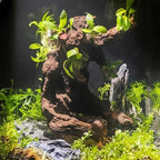 emours Aquarium Driftwood Fish Tank Decoration, Natural Wood, Large | 9-12 Inch - Image 2
