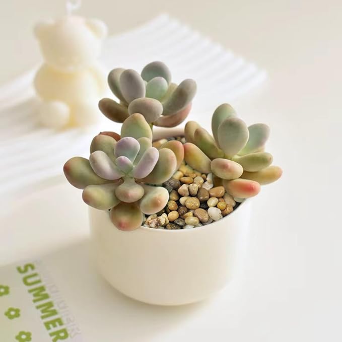 FANTIAN Poilished Fish Tank Gravel, 3/8 Inch Pebbles - Image 7