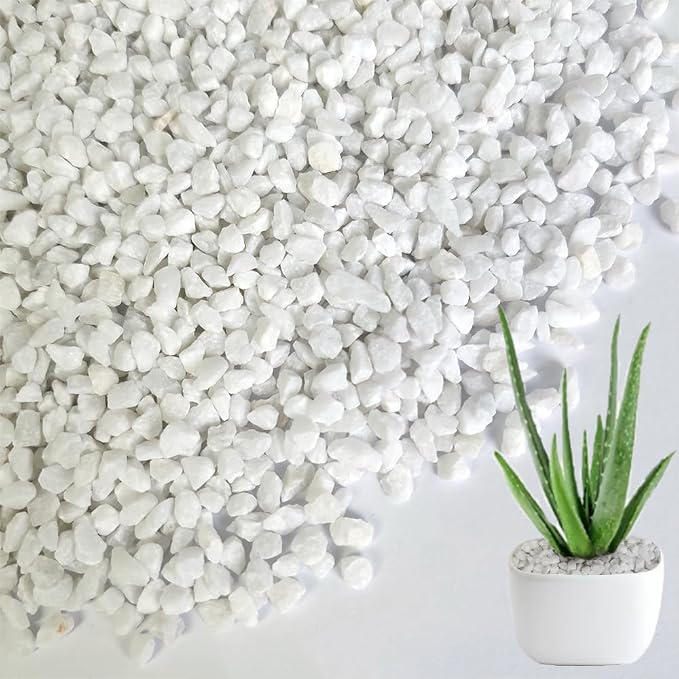 1.1 LB White Succulent Cactus Soil Cover Gravels, Decorative Small Rock | by HappyFiller