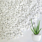 1.1 LB White Succulent Cactus Soil Cover Gravels, Decorative Small Rock | by HappyFiller