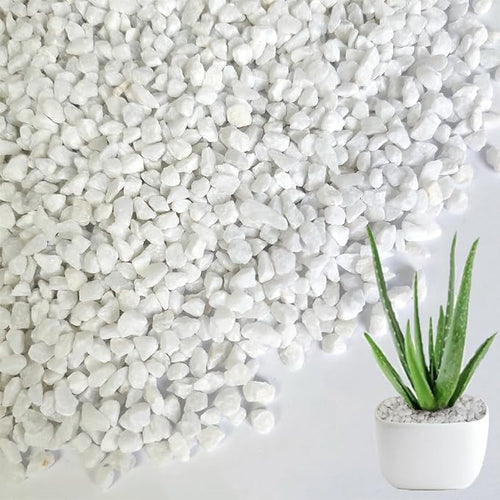 1.1 LB White Succulent Cactus Soil Cover Gravels, Decorative Small Rock | by HappyFiller