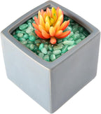 WAYBER Decorative Rock Stones, 2 Lbs/920g Irregular Green Crystal Pebbles - Image 5
