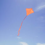 In the Breeze 3298 - Image 7