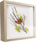 5x5 Small Shadow Box Frame Display Case, Display Case Box by TOUYINGER