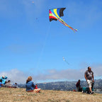 Mint's Colorful Life Delta Kite - Image 6