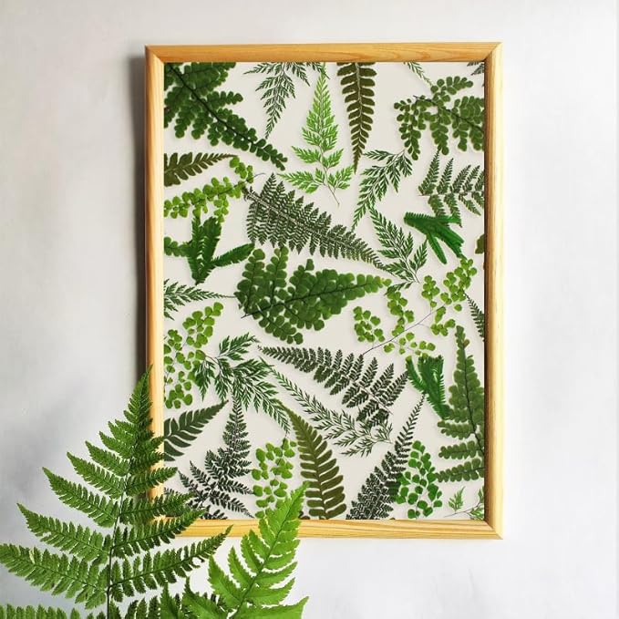 55 Pcs Green Leaves Ferns Dried Pressed Flowers - Image 4