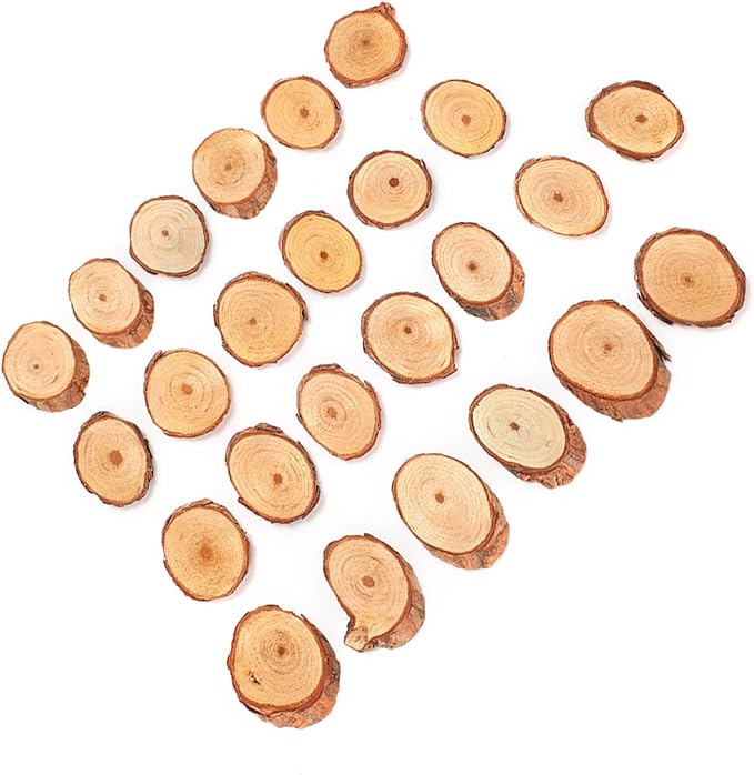 Rustic Unfinished Wooden Ornament Craft Kit 25 Piece DIY Blank Set - Image 4