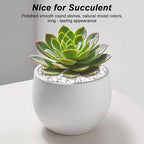 Succulent Rocks, Virekm River Rocks, Decorative Ornamental Pebbles, Garden - Image 4