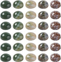 FASHEWELRY 50Pcs Natural Indian Agate Cabochons Flat Back Gemstone Cabochons by FASHEWELRY