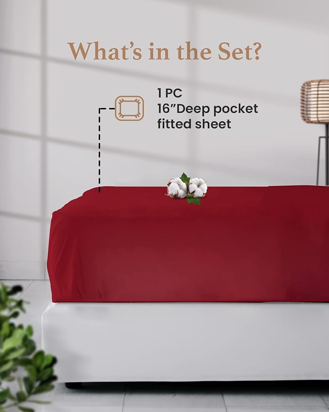 Good Sleep King Size Fitted Sheet - Image 3