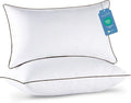 JOLLYVOGUE King Size Pillows Set of 2 by JOLLYVOGUE