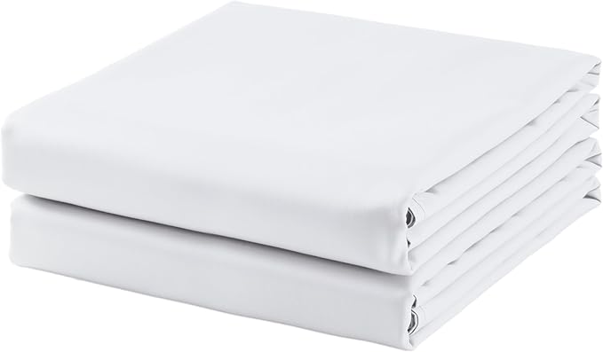 2-Pack Cotton Queen Flat Sheet Only, 600 Thread Count 100% Egyptian Cotton Top by ZaizaiHome