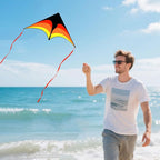 Large Single Line Beach Kite for Adults - Image 2