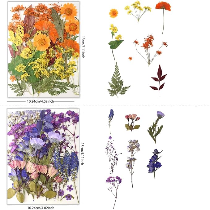 80Pcs Pressed Flowers, Dried Flowers Natural Pressed Flowers Bulk - Image 2