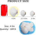 LUCKY BABY 4"-5" Scallop Shells - Image 2