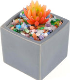 WAYBER Colorful Opal Pebbles, 1 Lb/460g Decorative Crystal Stones Rocks Sea - Image 3