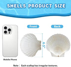 VMEECARL 10Pcs 4"-5" Large Scallop Shells - Image 3