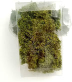 Warmtree DIY Miniature Shrubs Bushes Foliage Terrain Model Kit Sand Table - Image 7