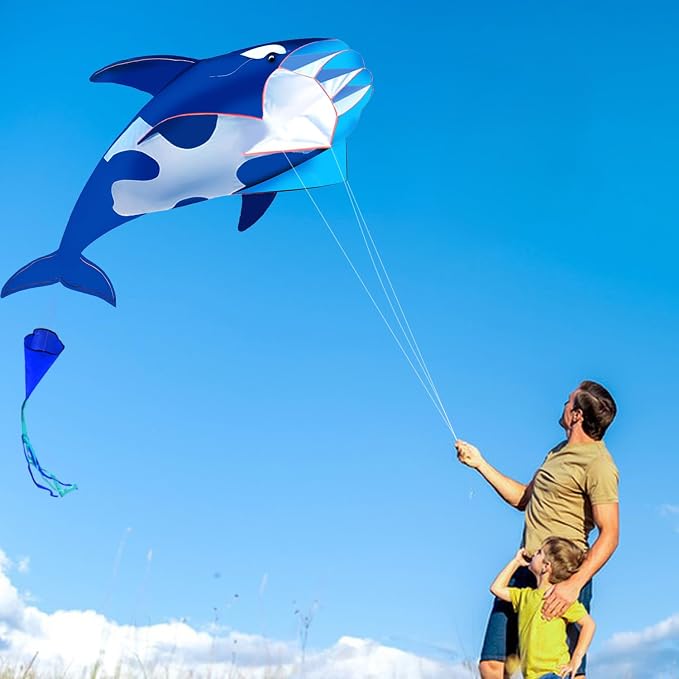 HENGDA KITE 3D Kite for Kids and Adults, Excellent Fabric and Structure - Image 6