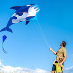 HENGDA KITE 3D Kite for Kids and Adults, Excellent Fabric and Structure - Image 6
