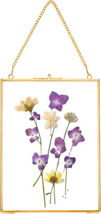 REDHUGO Hanging Pressed Flower Frames, Double Glass Floating Picture Frame by REDHUGO