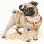 RIOLIS - Pug Dog 1176, Dogs Cross Stitch Kits 9, Counted Cross Stitch Kits - Image 2